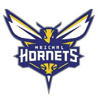 Heichal Hatorah Hornets