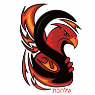 Shalhevet Firehawks